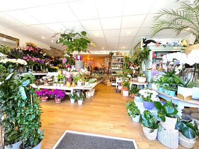 Magasins - 71 m² - 2 pièces