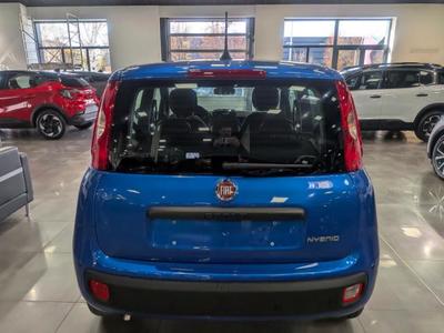 Fiat Panda 1.0 70 ch Hybrid Bsg s/S City