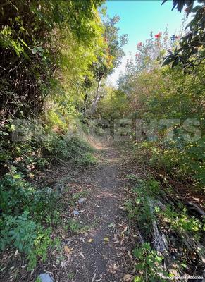 Maison traditionnelle - 220 m² - 12 pièces