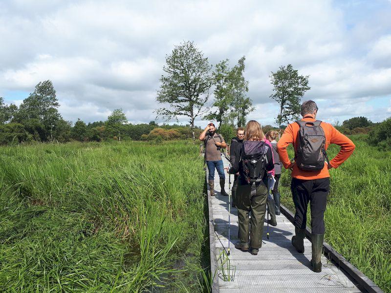 Balade nature - la boucle du marais