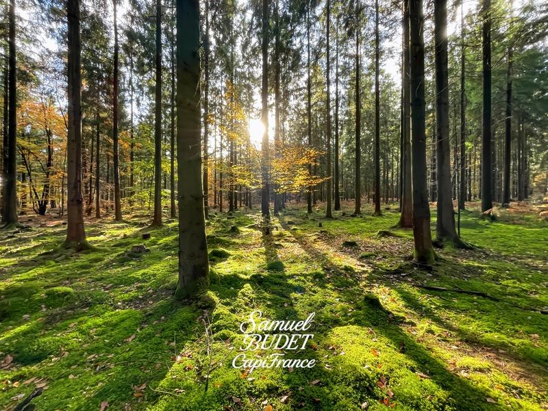 Terrain constructible - 885 m²