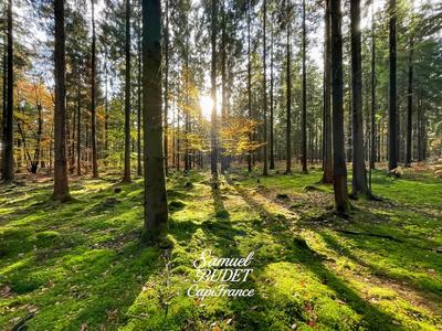 Terrain constructible - 885 m²