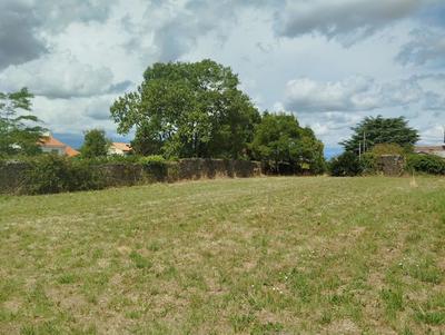 Terrain - 425 m²