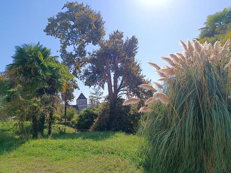 Demeure - 1 980 m² - 50 pièces