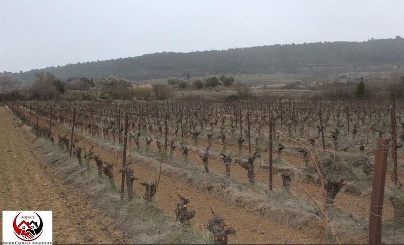 Terrain - 41 420 m²