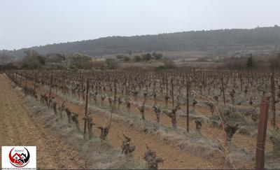 Terrain - 41 420 m²