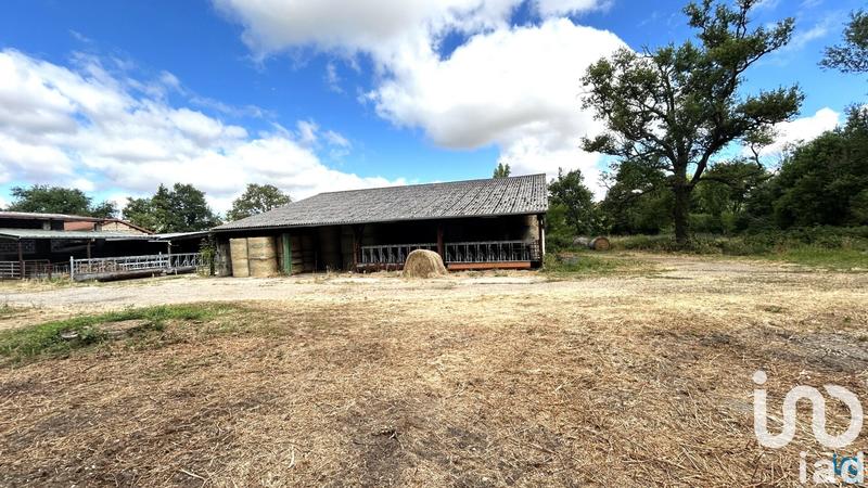 Terrain agricole - 9 750 m²