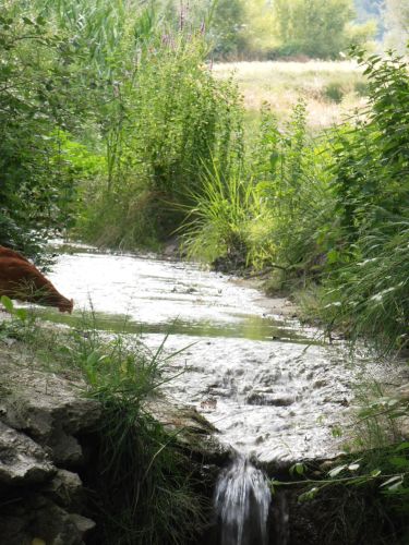 Gite Champêtre Drôme : lorette