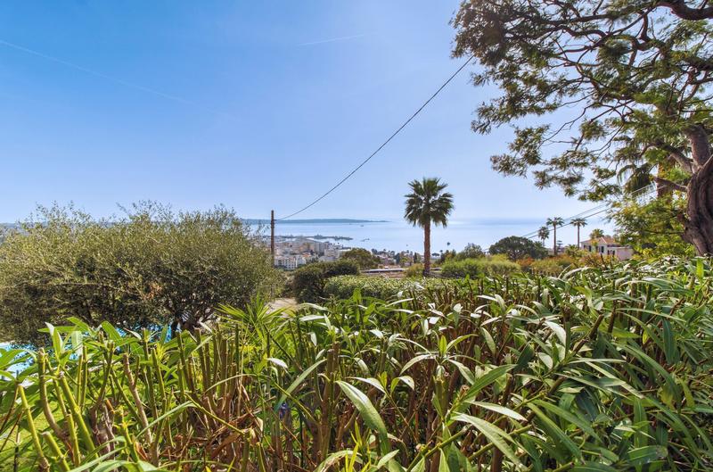 Propriété - 317 m² - 9 pièces