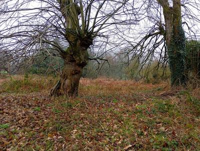 Maison - 120 m² - 3 pièces