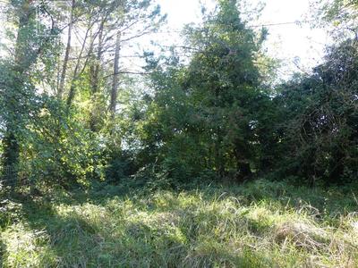 Terrain constructible - 1 957 m²