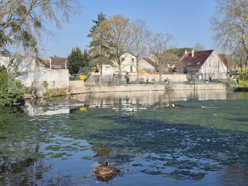 Appartement - 25 m² - 1 pièce