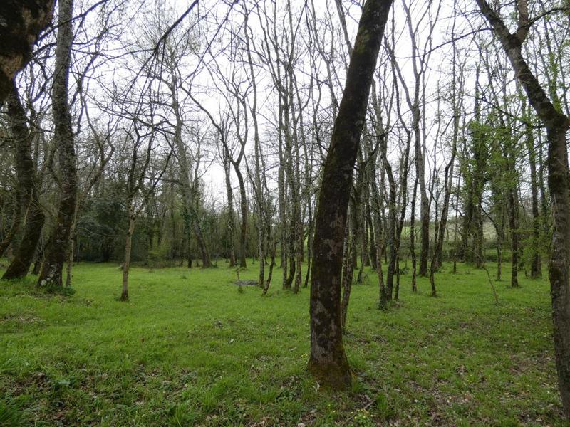 Maison - 190 m² - 6 pièces