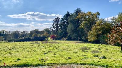 Maison - 254 m² - 10 pièces