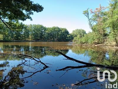 Terrain - 37 398 m²