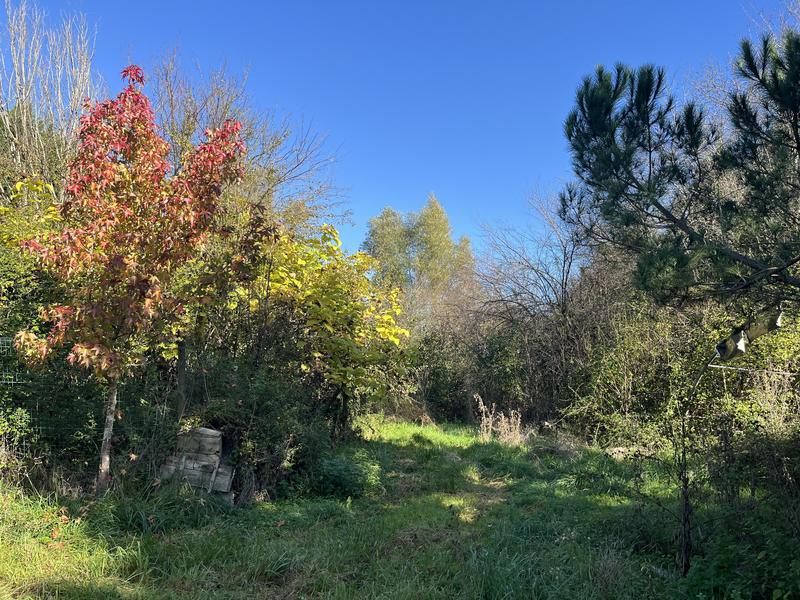 Maison en pierre - 130 m² - 4 pièces