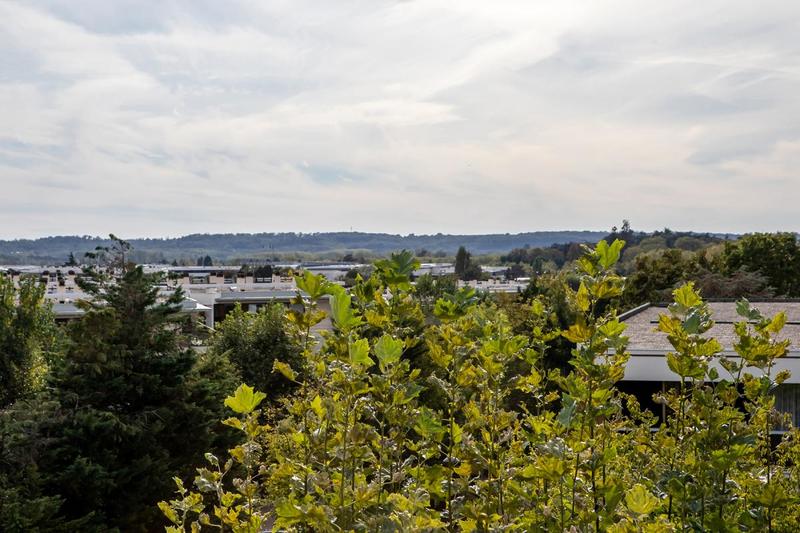 Appartement - 120 m² - 5 pièces