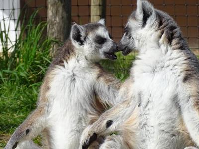 La Réserve Exotique