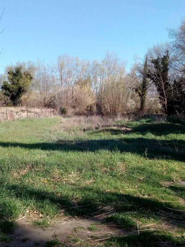 Terrain de loisirs - 1 600 m²