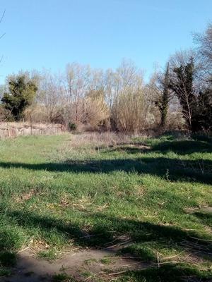 Terrain de loisirs - 1 600 m²