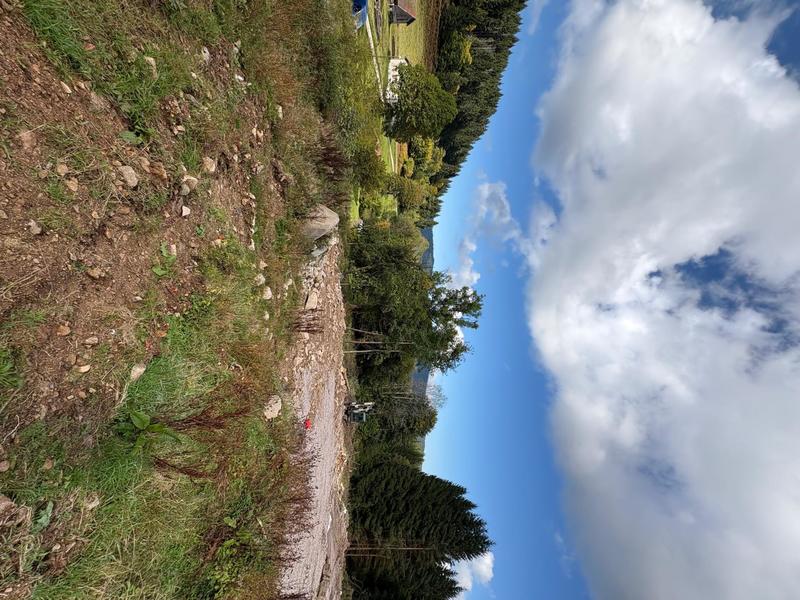 Terrain - 10 875 m²