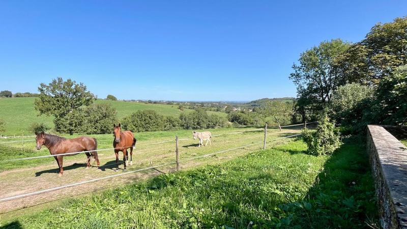 Maison - 240 m² - 6 pièces