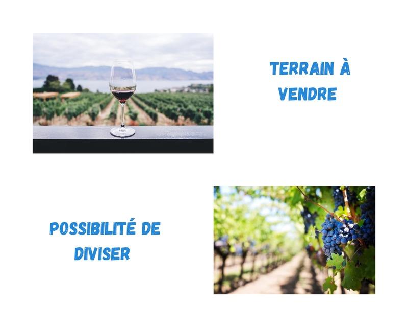 Terrain constructible - 3 629 m²