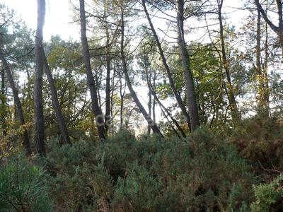 Terrain - 14 360 m²