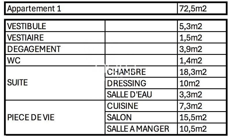 Appartement - 280 m² - 11 pièces