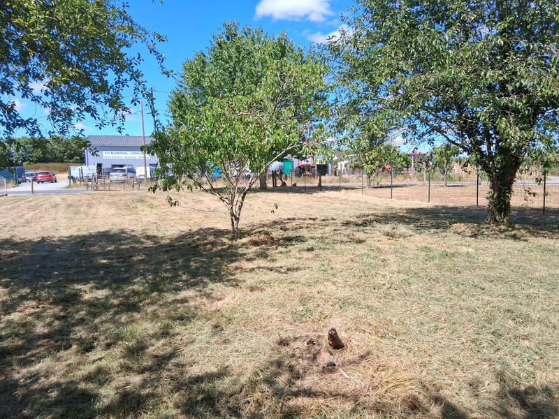 Maison - 45 m² - 3 pièces