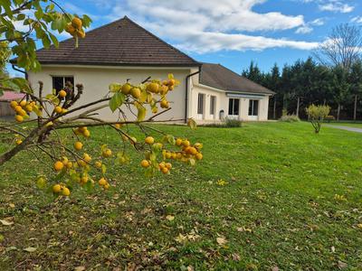 Maison - 170 m² - 5 pièces