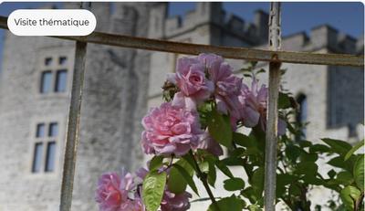 Les plantes : du jardin aux coeurs