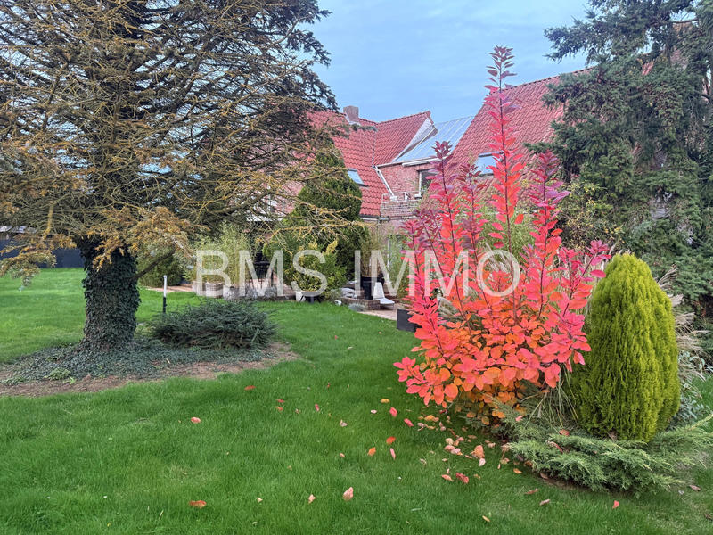 Maison - 230 m² - 6 pièces