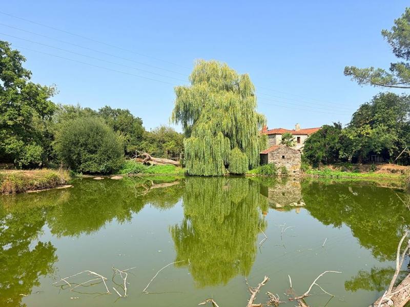 Maison - 145 m² - 7 pièces