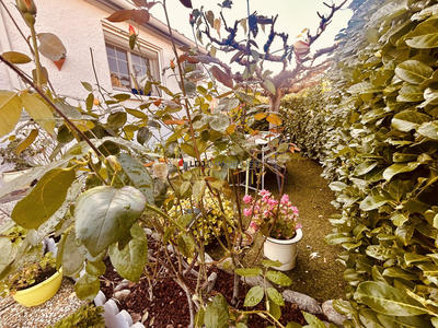 Villa - 130 m² - 5 pièces