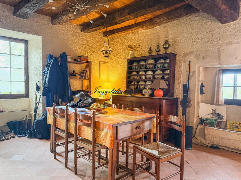 Maison - 300 m² - 11 pièces