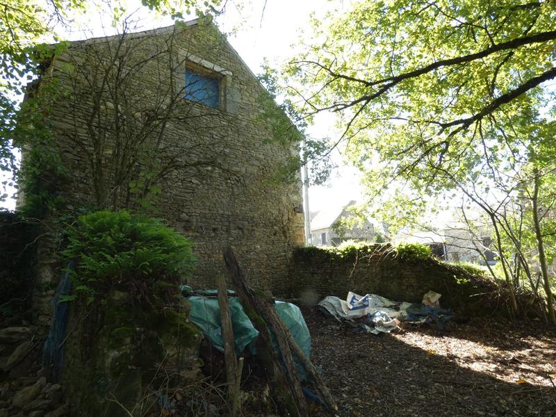 Maison ancienne - 60 m² - 2 pièces