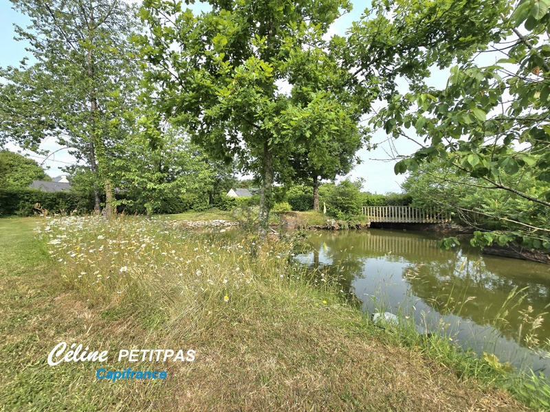 Terrain constructible - 1 240 m²