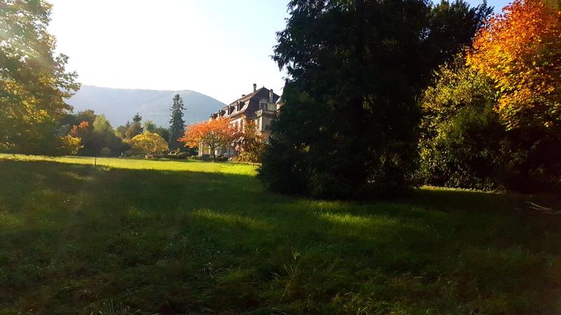 Les aventuriers en herbe