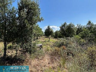 Terrain - 31 975 m²