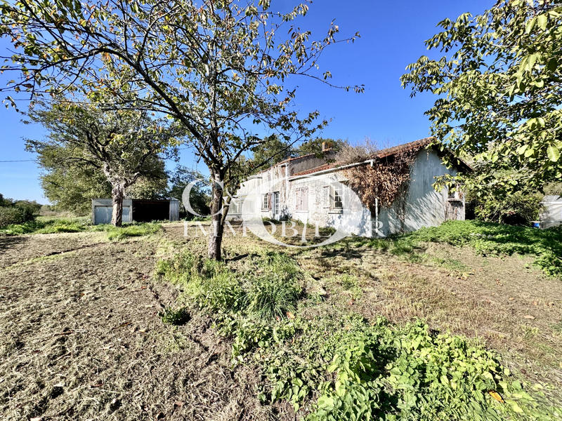 Maison - 91 m² - 4 pièces