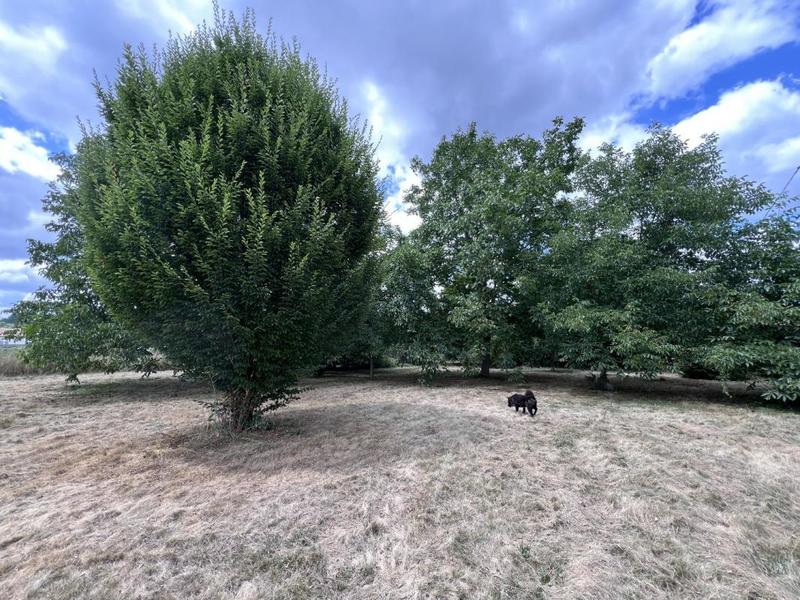 Fermette - 99 m² - 4 pièces