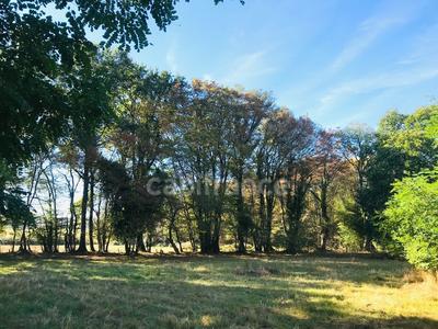 Terrain constructible - 9 346 m²