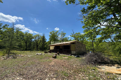 Cabanon - 35 m² - 1 pièce