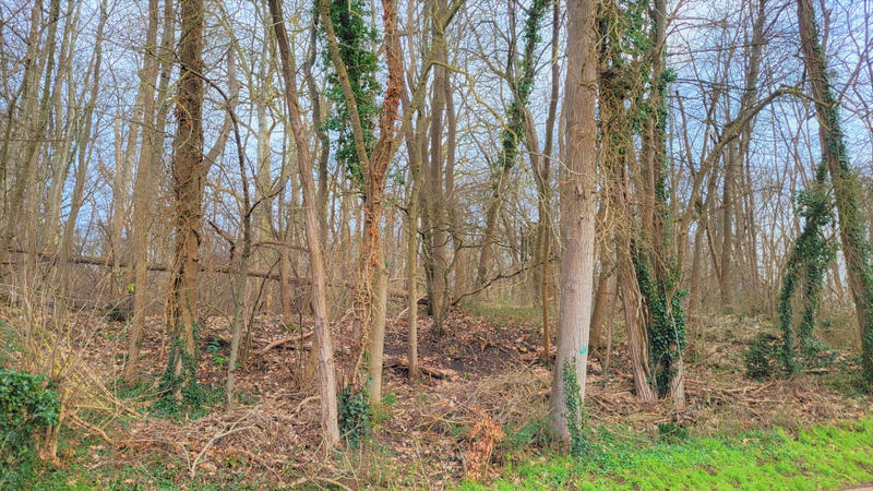 Maison - 107 m² - 7 pièces