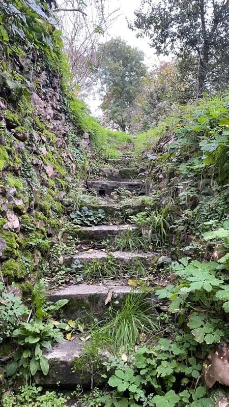 Maison de ville - 140 m² - 7 pièces