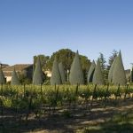 Auberge de Carcarille