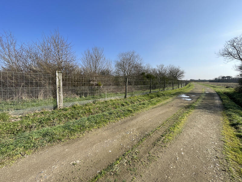 Terrain - 34 900 m²