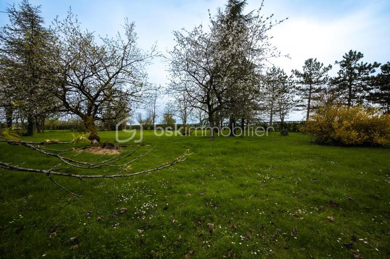 Pavillon - 124 m² - 5 pièces