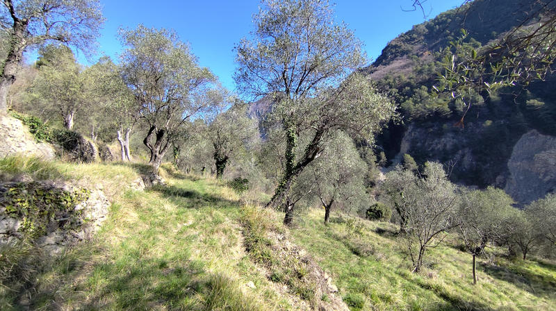 Maison - 41 m² - 3 pièces